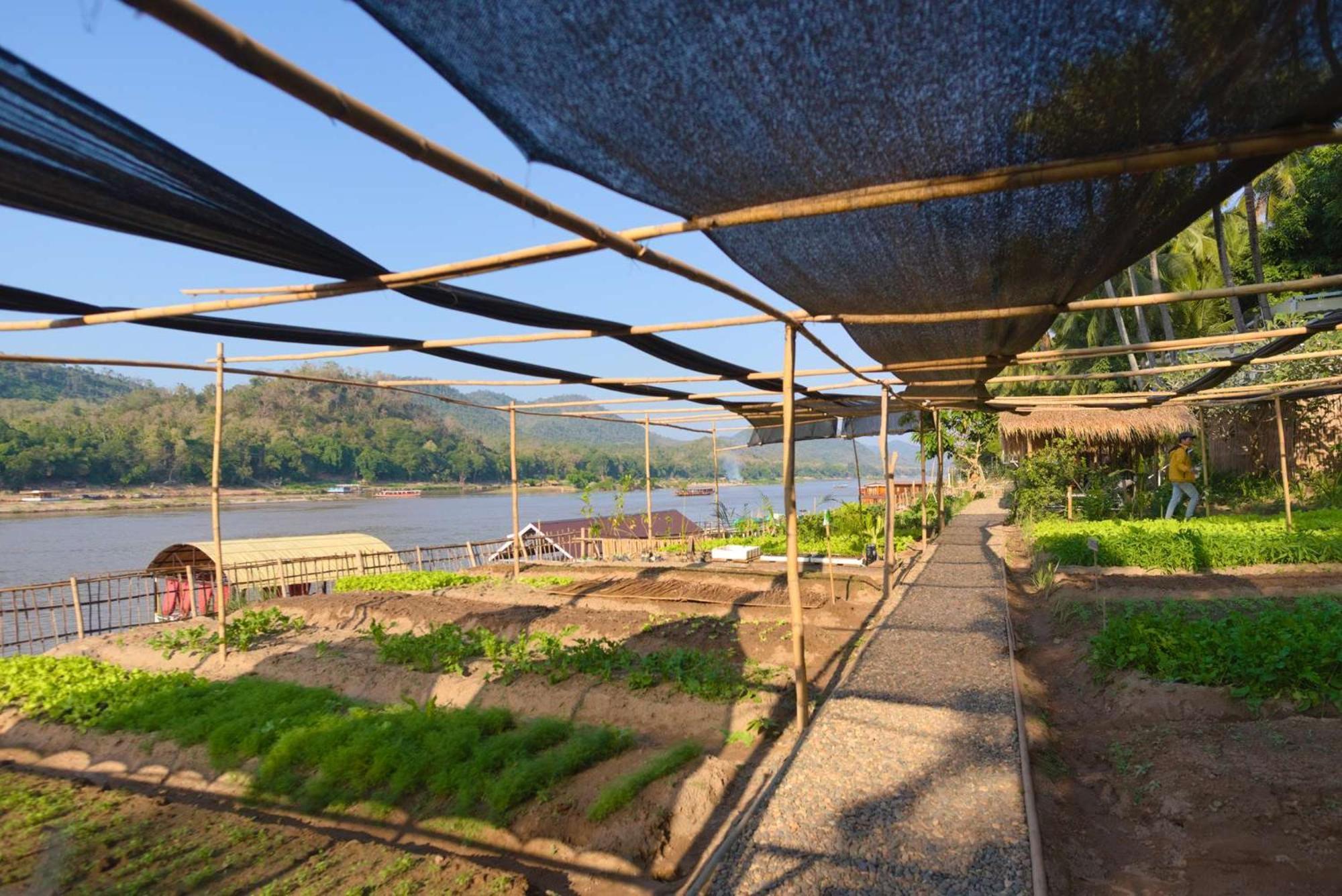 The Belle Rive Boutique Hotel Luang Prabang Exterior foto